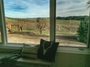 Photo of view vineyard view from living room at Pelletiere winery inn